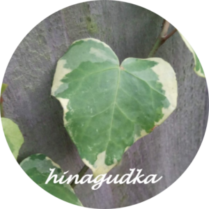 Boost the heart and heart chakra healing and meditation session